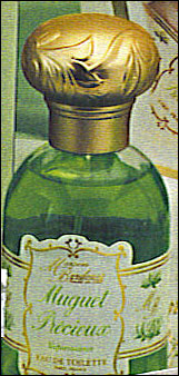 Kielo